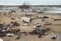 Ocean water pollution with plastic waste and water bottles, spilled garbage on city sea beach