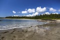 Ocean Water`s Edge Long Beach Pacific Rim Vancouver Island Royalty Free Stock Photo