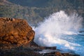 Ocean wave breaking against rocky coastline with forested hillside in the distance along the California coast Royalty Free Stock Photo