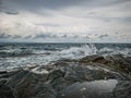 Ocean wave crashing Onto Rocky in the Blue ocean