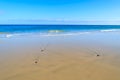 Ocean wave water on beautiful Jandia beach, Morro Jable, Fuerteventura, Canary Islands, Spain Royalty Free Stock Photo