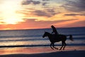 Horse gallops briskly along the island beach shoreline Royalty Free Stock Photo