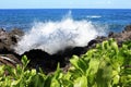 Ocean waves crashing into the volcanic rocky shoreline in Papaikou, Hawaii Royalty Free Stock Photo