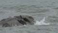 Ocean waves over a rocky prominence - welsh coast