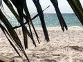 Ocean, waves, palms, sunsets palms Cambodia