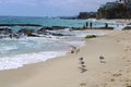 Ocean waves rolling into the beach over the rocks at 1000 Steps Beach Royalty Free Stock Photo