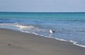 The ocean waves slowly roll onto the shoreline as a summertime sun begins its late afternoon decent Royalty Free Stock Photo