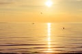 Ocean yacht and woman in sunset light Royalty Free Stock Photo