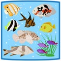 Oceanarium colorful coral reef tropical fish flat icons