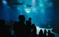 Oceanarium Underwater World. Group of People Watching Fish in a Oceanarium