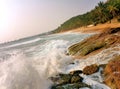 Oceanic Coast with big waves and palm trees