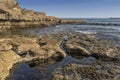 Oceanic pools with seaweed and rocks and marine life. Estoril beach in Portugal.