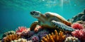 Oceanic sea turtle resting on vibrant coral reef in sunlit waters. Generative AI Royalty Free Stock Photo