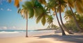 oceanic view in summer, ocean vawes with palms on beachside