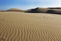 Oceano Dunes Natural Preserve, California Royalty Free Stock Photo