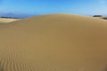 Oceano Dunes Natural Preserve, California Royalty Free Stock Photo