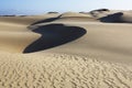 Oceano Dunes Natural Preserve, California Royalty Free Stock Photo