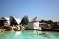 The Oceanografic in Valencia