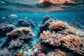 Coral Kingdoms of Aquaterra