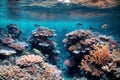 Coral Kingdoms of Aquaterra