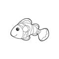 Ocellaris clownfish animal fish nature art hand drawing illustration design sketch doodle black white cartoon Royalty Free Stock Photo