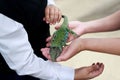 Ocellated lizard, timon lepidus, lacerta lepida sits on the hands of children. Exhibition of exotic animals. Contact Zoo.