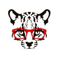 Ocelot face in glasses vector illustration flat