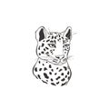 Ocelot on white background. Vector .