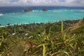 Ocen view with cacti from Lanikai, Oahu, Hawaii