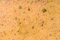 Ocher yellow rock surface Texture and backgrounds Royalty Free Stock Photo