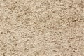 Ocherous seamless stucco texture