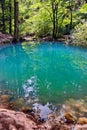 Ochiul Beiului Lake in Nera Gorge Beusnita National Park, Romania Royalty Free Stock Photo