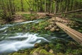 Ochiul Beiului pound, Romania