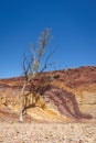 Ochre mine, used by aboriginal Australian as raw material for paintings and ceremonial body decoration. Vertical picture. Ochre