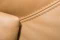 Ochri leather Royalty Free Stock Photo