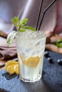 ÃÂ¡ocktail with ginger Moscow mule Royalty Free Stock Photo