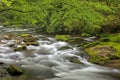 Oconaluftee River Royalty Free Stock Photo