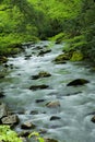 Oconaluftee river cascading over rocks in the Great Smoky Mountains NP