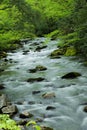 Oconaluftee river cascading over rocks in the Great Smoky Mountains NP