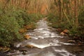 Oconaluftee River Royalty Free Stock Photo