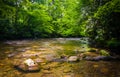 The Oconaluftee River, at Great Smoky Mountains National Park, N Royalty Free Stock Photo