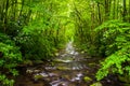 The Oconaluftee River, at Great Smoky Mountains National Park, N Royalty Free Stock Photo