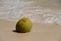 ÃÂ¡oconut on the beach a sunny day Royalty Free Stock Photo