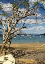 Ocotal Beach in Guanacaste - Costa Rica