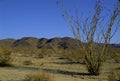 Ocotillo and Pinto Mountains 48937