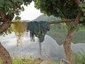 Fishing nates dryig on bamboo resting two Palash or Butea monosperma Trees By Lake Against Sky and hills of Aravalli Royalty Free Stock Photo