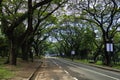 Oct 1, 2002 People who visit for enjoy weekend the University Philippines Diliman , Quezon City, Metro Manila , Philippines