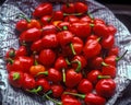 Round Red Chilly pepper on newspaper ; Darjeeling ; West Bengal Royalty Free Stock Photo