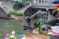 Pigeons eating guacamole left at a canal-side table on the Riverwalk - selective focus and movement