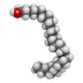 Octacosanol plant wax component molecule. 3D rendering. long chain fatty alcohol, present in e.g. the waxy cover of eucalyptus